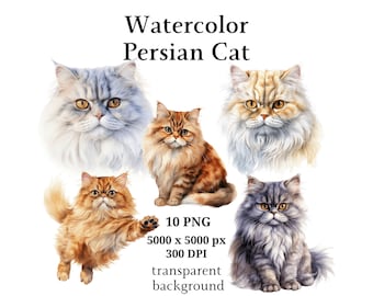 Persian Cat Clipart, 10 High Quality PNGs, Nursery Art, Digital Download | Card Making, Cute Cat Clipart, Digital Paper Craft | #1032