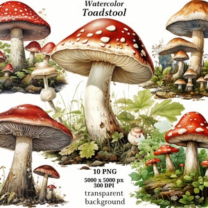 Clipart champignon vénéneux - 10 fichiers PNG de haute qualité, téléchargement numérique, journaux indésirables, graphiques imprimables, livres souvenirs, scrapbooking | #1348
