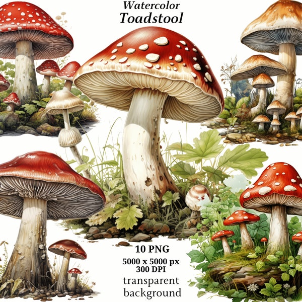Toadstool Clipart - 10 High Quality PNGs, Digital Download, Junk Journals, Printable Graphics, Memory Books, Scrapbooking | #1348