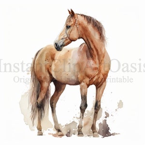 Clipart de caballo, 7 JPG de alta calidad, arte de vivero, descarga digital instantánea / fabricación de tarjetas, imágenes prediseñadas de animales lindos, arte de papel digital / #2
