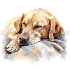 Sleeping Labrador Clipart, 10 High Quality JPGs, Nursery Art, Digital Download | Card Making, Cute Dog Clipart, Digital Paper Craft | #738