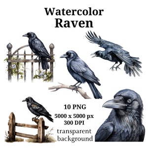 Raven Clipart, 10 High Quality PNGs, Nursery Art, Digital Download | Card Making, Bird Clipart, Digital Paper Craft | #1013