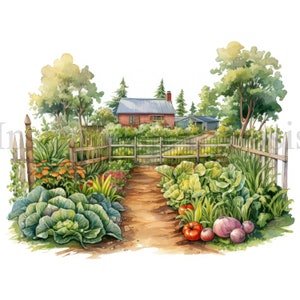 Clipart de jardin potager, 10 JPG de haute qualité, clipart de ferme, téléchargement numérique instantané | Fabrication de cartes, Artisanat en papier numérique | #802