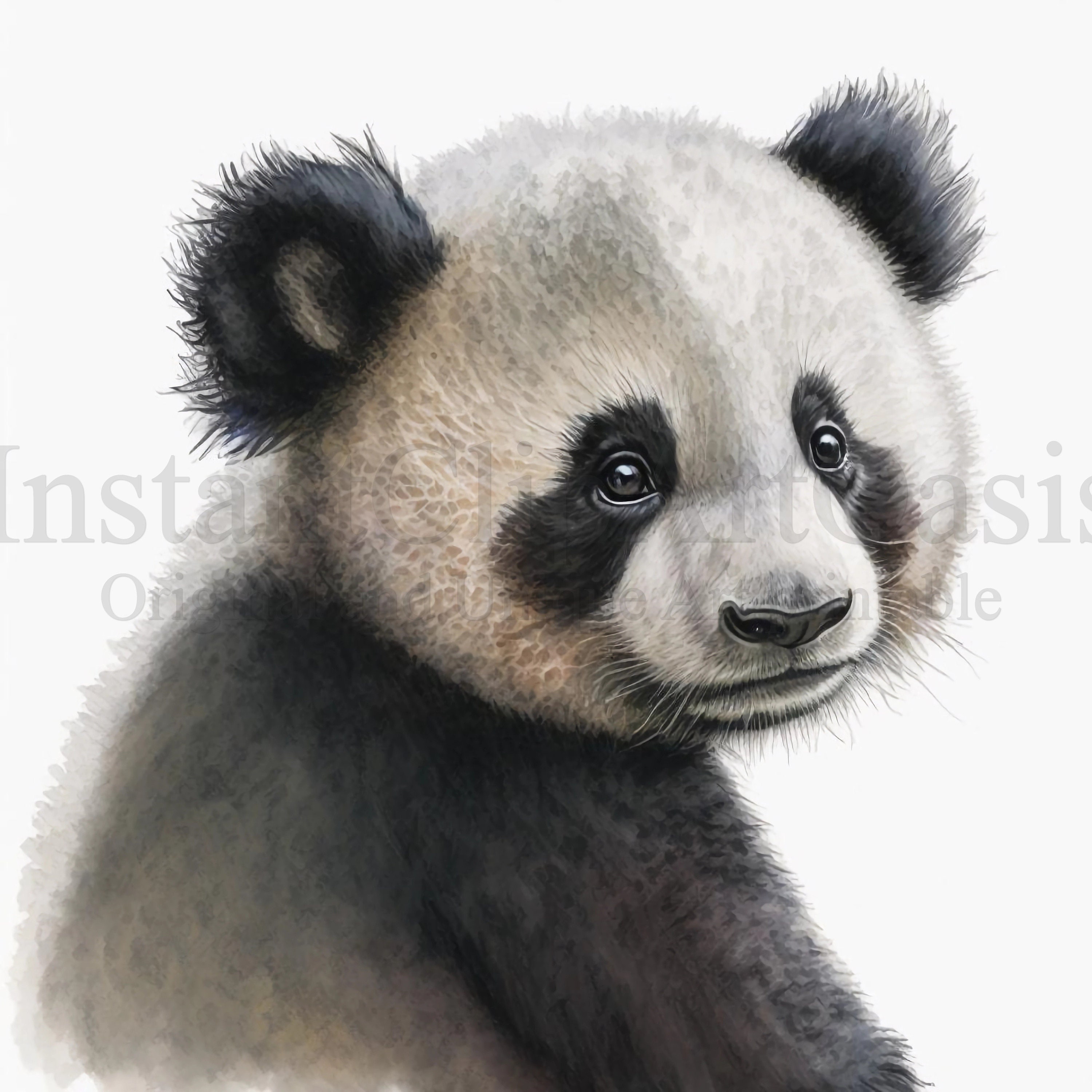 How To Draw A Realistic Baby Panda Step By Step