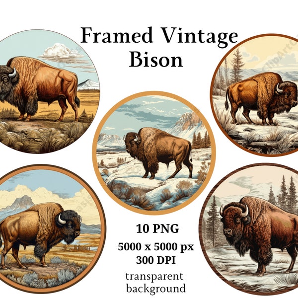 Framed Vintage Bison Clipart, 10 High Quality PNGs, Digital Download, Journaling, Card Making, Digital Paper Craft #920