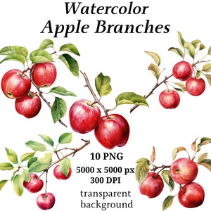 Apple Branches Clipart - 10 PNG de alta calidad, Descarga digital, Manzana de acuarela, Clipart botánico, Gráficos imprimibles, Diario / #1176