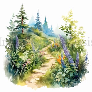 Summer Forest Clipart, 10 JPG di alta qualità, Arte dell'acquerello, Download digitale, Creazione di carte, Media misti, Mestiere di carta digitale / #643