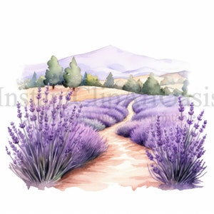 Imágenes Prediseñadas de campos de lavanda, 10 JPG de alta calidad, arte de acuarela, descarga digital / #767