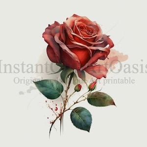 Rote Rose Clipart, 10 hochwertige JPGs, botanische Kunst, sofortiger digitaler Download | Kartenherstellung, Botanische Clipart, Digital Paper Craft | #13