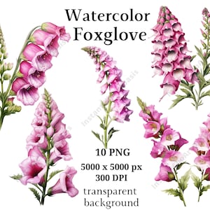 ジギタリスのクリップアート、10 個の高品質 PNG、植物アート、デジタル ダウンロード、カード作成、ジャーナリング、デジタル ペーパー クラフト | #958