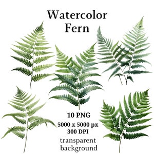 Fern Clipart, 10 PNG de haute qualité, Art botanique, Téléchargement numérique, Fabrication de cartes, Journalisation, Artisanat en papier numérique | #1105