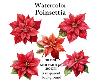Poinsettia Clipart, 10 High Quality PNGs, Christmas Clipart, Digital Planners, Junk Journals, Digital Download, Memory Books | #1094