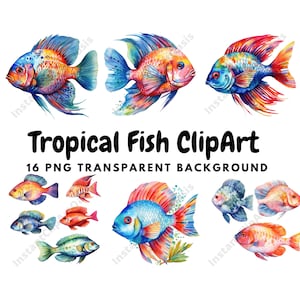 16 PNG de haute qualité - Clipart de poissons tropicaux, Art de la pépinière, Téléchargement numérique instantané, Fabrication de cartes, Clipart Animal mignon, Paper Craft #946