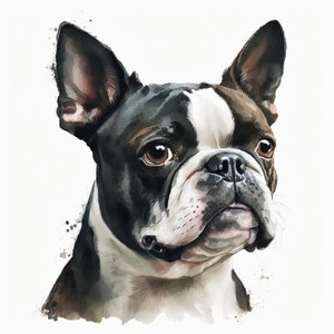 Boston Terrier Clipart, 9 High Quality JPGs, Nursery Art, Digital Download, Card Making, Cute Animal Clipart, Paper Craft | #208
