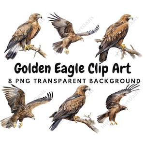 Clipart Aquila reale, 8 PNG di alta qualità Sfondo trasparente, Download digitale / Creazione di cartoline, Clipart animali, Mestiere di carta digitale #365