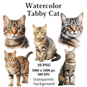Tabby Cat Clipart, 10 High Quality PNGs, Nursery Art, Digital Download | Card Making, Cute Cat Clipart, Digital Paper Craft | #1075