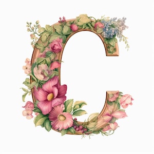 Letra C Clipart, 10 JPG de alta calidad, Arte infantil, Descarga digital instantánea / Fabricación de tarjetas, Impresión alfabética, Arte de papel digital / #340