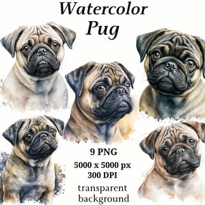 Pug Clipart, 9 High Quality PNGs, Nursery Art, Digital Download, Card Making, Cute Animal Clipart, Paper Craft | #176