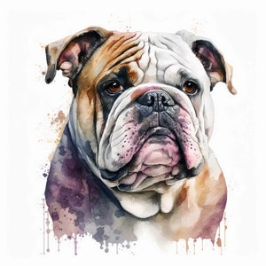 Bulldog Clipart, 10 High Quality JPGs, Nursery Art, Digital Download | Card Making, Cute Dog Clipart, Digital Paper Craft | #264