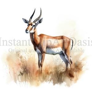 Grant's Gazelle clipart, 6 hoge kwaliteit JPG's, instant digitale download | Kaarten maken, Gazelle Clipart, Digital Paper Craft | #788