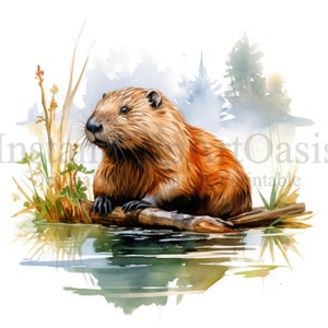 May include: A watercolor painting of a brown beaver sitting on a log in a pond. The beaver has a bushy tail and is looking to the left. The pond is surrounded by green reeds and trees.