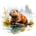 see more listings in the JPG - Fauna Illustration section