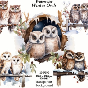 Clipart hiboux hiver, 10 PNG de haute qualité, téléchargement numérique instantané | Fabrication de cartes, cliparts d'animaux, créations numériques en papier | #1354