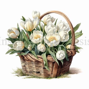 White Tulips Basket Clipart, 10 JPG di alta qualità, Junk Journaling, Digital Planner, Wall Art, Digital Paper Craft, Acquerello / #638