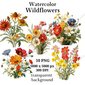 Wildblumen Clipart | Set-2 | 10 hochwertige PNGs, botanische Kunst, digitaler Download, Kartenherstellung, Journaling, digitales Papierhandwerk | #995