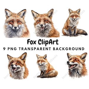 9 PNG de haute qualité - Fox Clipart, Nursery Art, Téléchargement numérique, Fabrication de cartes, Cute Animal Clipart, Digital Paper Craft | #629
