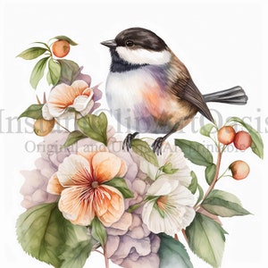 Chickadee Clipart, 10 JPG de haute qualité, Art de la pépinière, Téléchargement numérique | Fabrication de cartes, Clipart d'oiseau mignon, Artisanat en papier numérique | #350