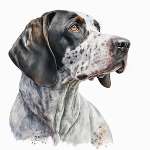 English Pointer Clipart 8 High Quality Jpgs Nursery Art - Etsy