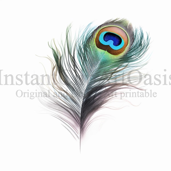 Peacock Feathers Clipart, 10 High Quality JPGs, Nursery Art, Digital Download | Card Making, Feather Clipart, Digital Paper Craft | #389