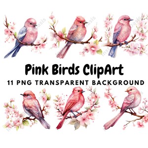 Pink Bird Clipart, 11 PNG de alta calidad, fondo transparente, descarga digital / creación de tarjetas, artesanía de papel digital #829