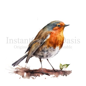 Robin Clipart, 10 High Quality PNGs, Nursery Art, Digital Planner, Watercolor, Card Making, Journaling, Digital Download | #228
