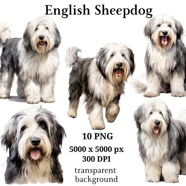 English Sheepdog Clipart, 10 High Quality PNGs, Nursery, Digital Planner, Watercolor Dog, Card Making, Journaling, Digital Download #1008