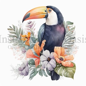 Toucan Clipart, 10 High Quality JPGs, Nursery Art, Instant Digital Download | Card Making, Bird Clipart, Digital Paper Craft | #357