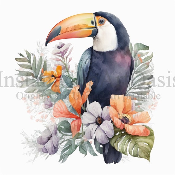 Toucan Clipart, 10 High Quality JPGs, Nursery Art, Instant Digital Download | Card Making, Bird Clipart, Digital Paper Craft | #357