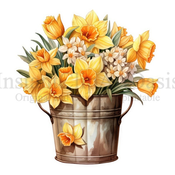 Daffodils Bucket Clipart, 10 High Quality JPGs, Card Making, Daffodils Clip Art, Digital Paper Craft, Watercolour Daffodils | #763