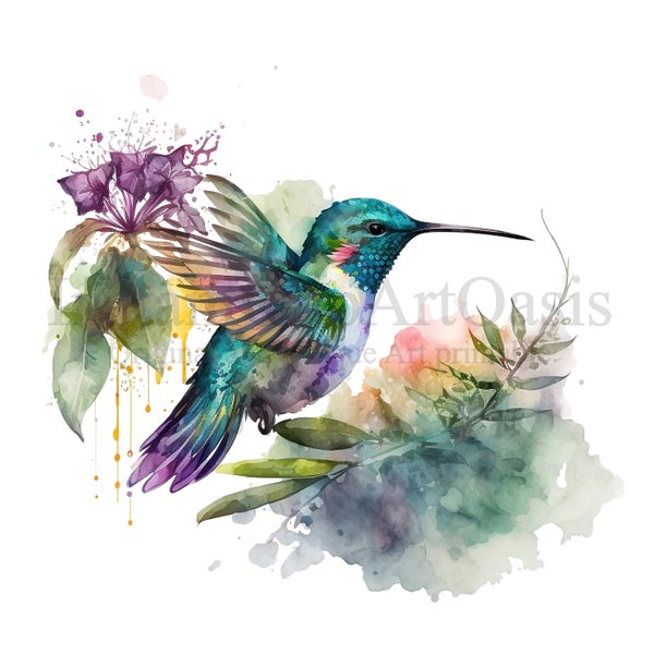 Hummingbird Clipart, 10 High Quality PNGs, Nursery Art, Instant Digital Download | Card Making, Animal Clipart, Digital Paper Craft | #28