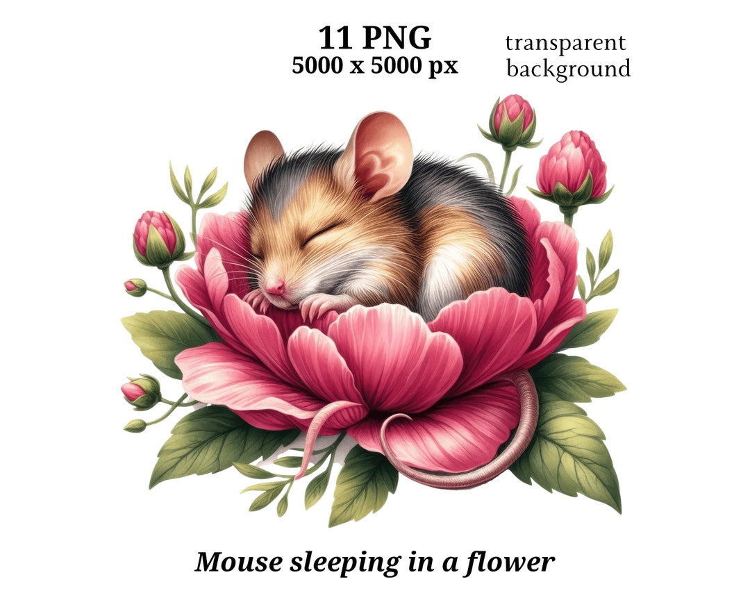 Cute Mouse Sleeping Clipart, 11 High Quality Pngs, Nursery Art | Mouse ...