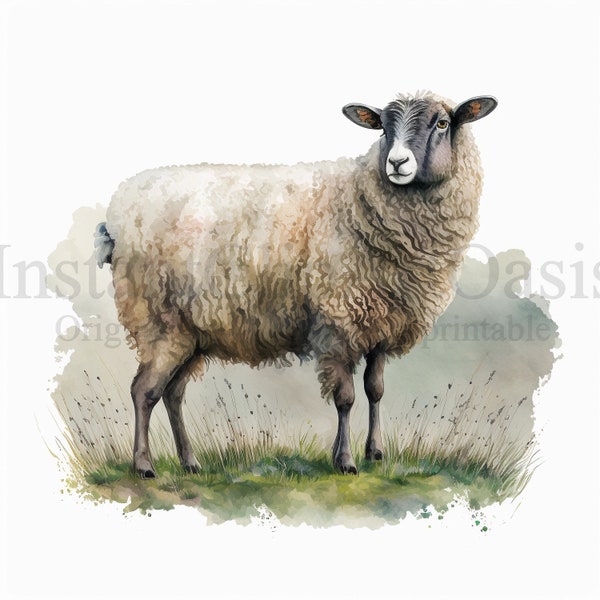 Sheep Clipart, 10 High Quality JPGs, Nursery Art, Instant Digital Download | Card Making, Farmyard Animal Clipart, Digital Paper Craft #317