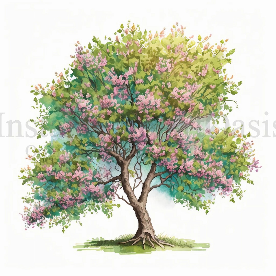 Blossom Apple Trees Clipart, 10 High Quality Jpgs, Botanical Art ...