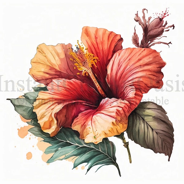 Hibiscus Clipart, 10 JPG de haute qualité, Art botanique, Téléchargement numérique instantané | Fabrication de cartes, Clipart botanique, Artisanat en papier numérique | #189