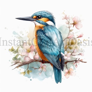 Kingfisher Bird Clipart, 10 JPG de haute qualité, Art de la pépinière, Téléchargement numérique | Fabrication de cartes, Clipart animaux, Artisanat en papier numérique | #370