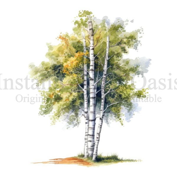 Birch Trees Clipart, 9 High Quality JPGs, Botanical Art, Digital Download, Card Making, Journaling, Digital Paper Craft | #757