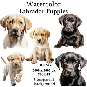 Labrador Puppies Clipart, 10 PNG de haute qualité, Pépinière, Planificateur numérique, Aquarelle, Fabrication de cartes, Journalisation, Téléchargement numérique #1097
