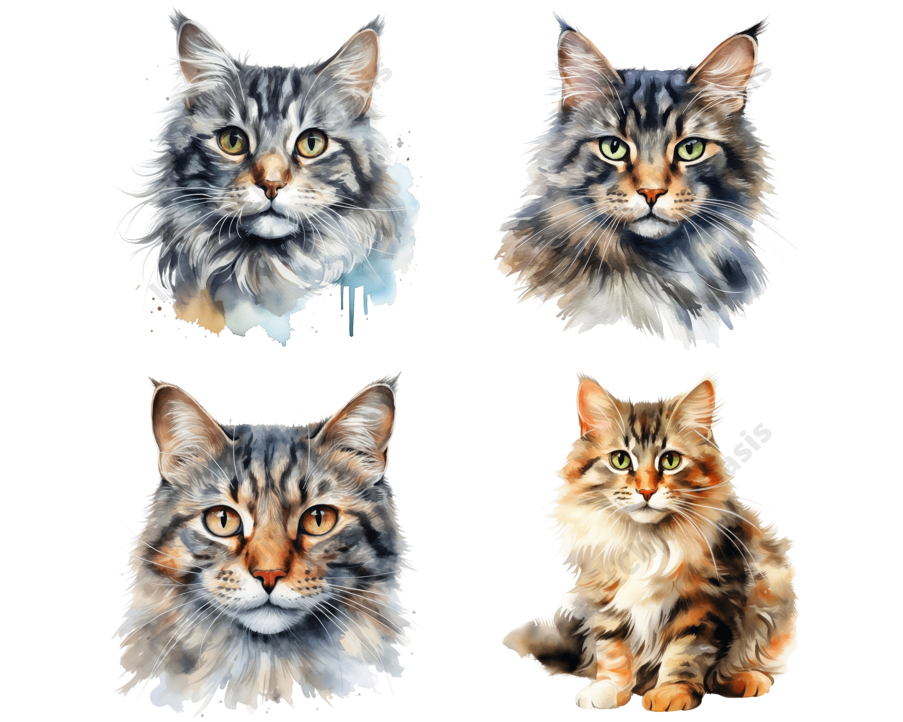 Assorted Cats Clipart, 14 High Quality Pngs, Nursery Art, Digital ...
