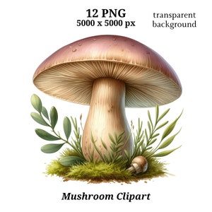 Paddestoel clipart met hoge resolutie | Handgetekende botanische illustratie | Digitale download voor ambachten, scrapbooking, ontwerpprojecten | #1489