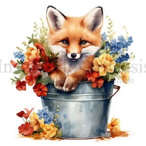 Renards dans un seau Clipart, 10 JPG de haute qualité, téléchargement numérique, fabrication de cartes, Animal Clipart, Digital Paper Craft | #867